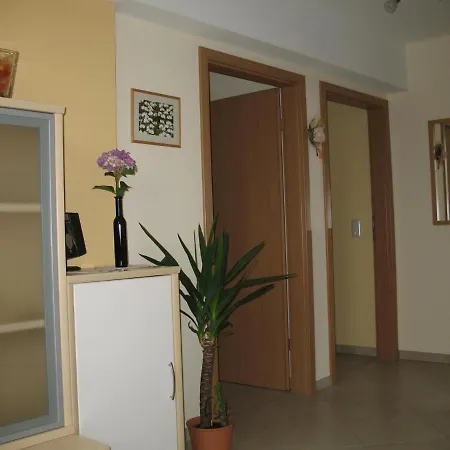 Haus Klara 公寓 Detzem